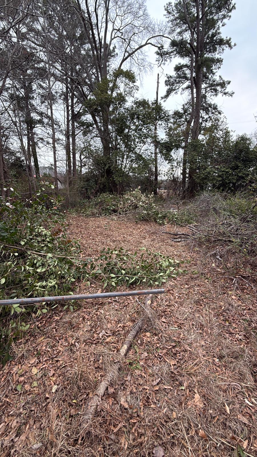 Before - Rehab Project